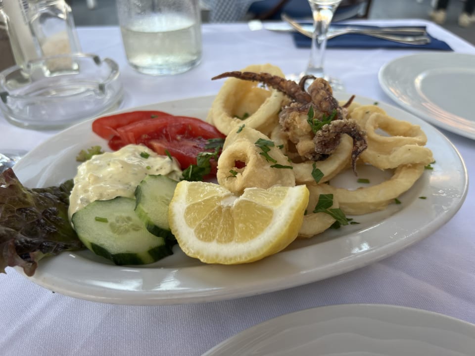 Gastro Cactus Mare - Adults only