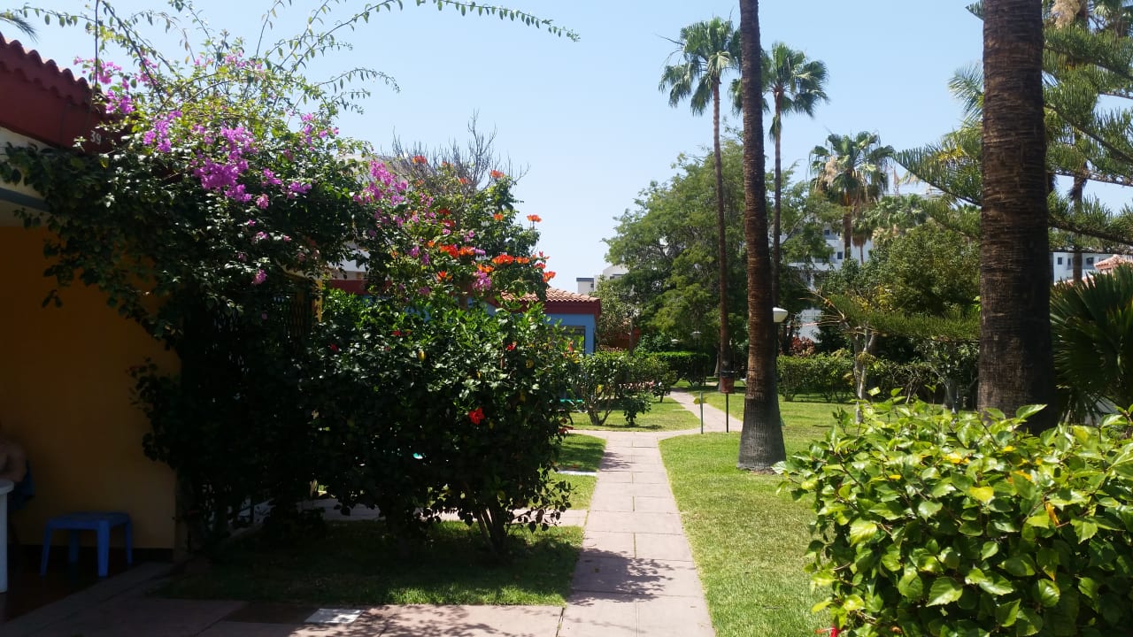 Gartenanlage Artemisa Gay Bungalows