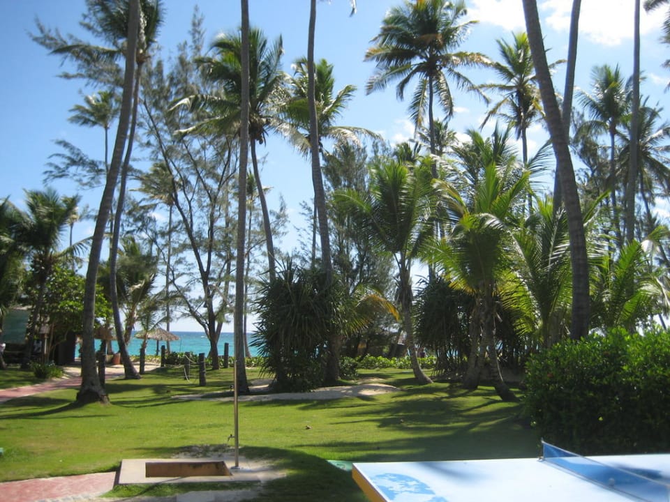 Gartenanlage mit Blick auf das Meer Hotel Grand Palladium Palace Resort, Spa & Casino