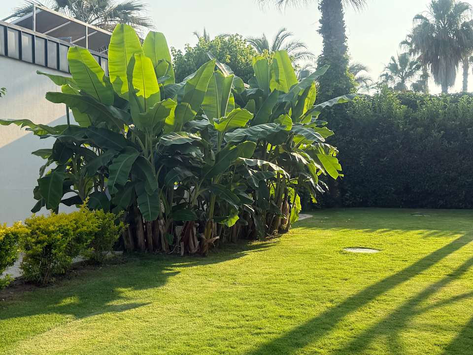 Gartenanlage Belek Beach Resort Hotel