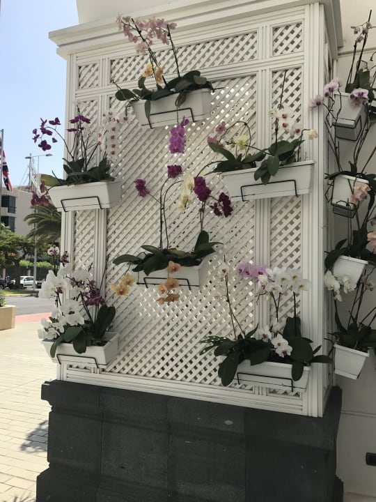 Sonstiges Adrián Hoteles Colón Guanahaní - Adults only