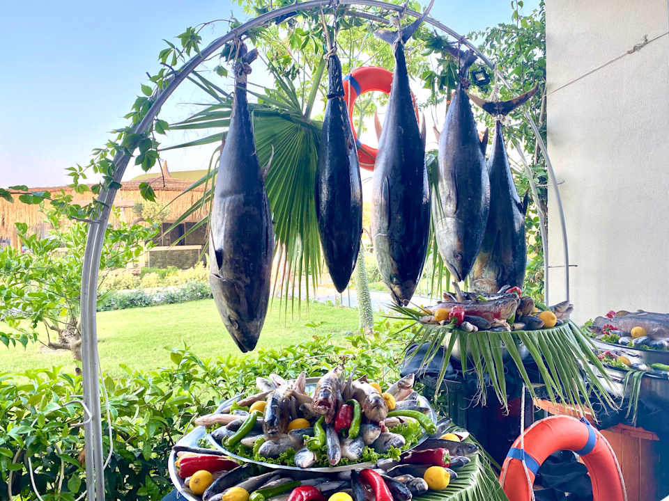 Gastro Dream Fun World