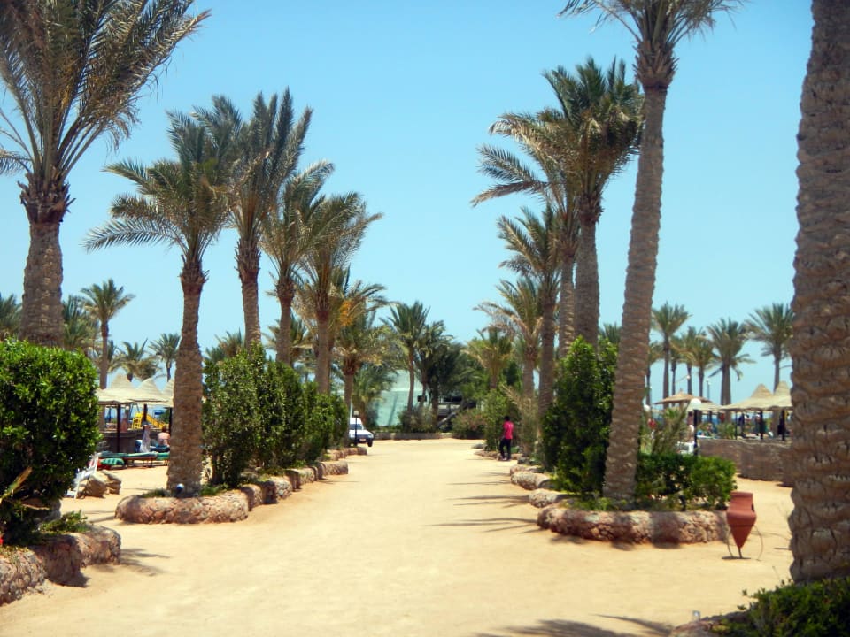 Der Weg zum Meer  Bel Air Azur Resort - Adults only