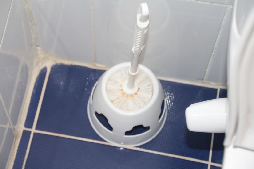 "lebende" Klobürste Stella Beach Resort & Spa Makadi Bay