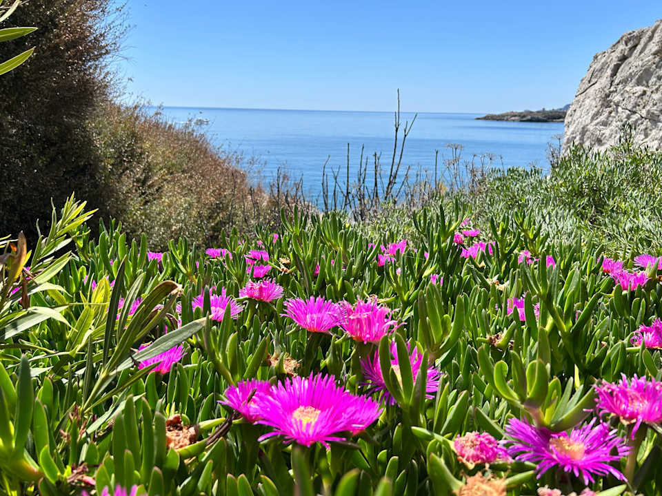 Gartenanlage Hotel Kalithea Horizon Royal