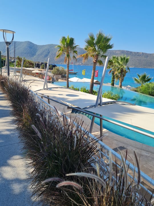 Ausblick TUI MAGIC LIFE Bodrum - Adult Only (16+)