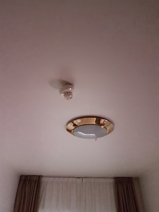 Zimmer Hotel Carpini