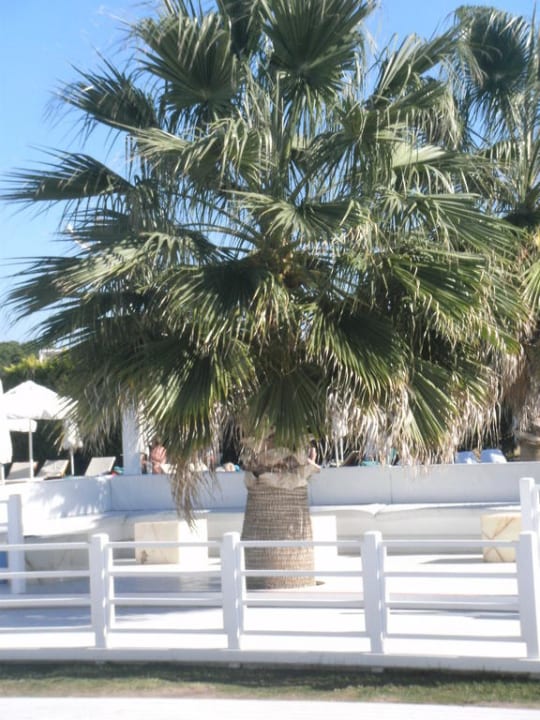 Chillen ist angesagt! Voyage Belek Golf & Spa