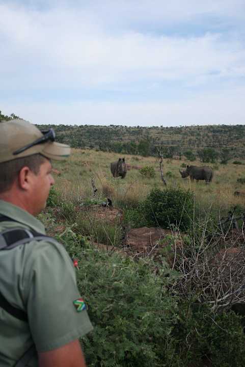 Big 5 Walk Kololo Game Reserve Accommodation