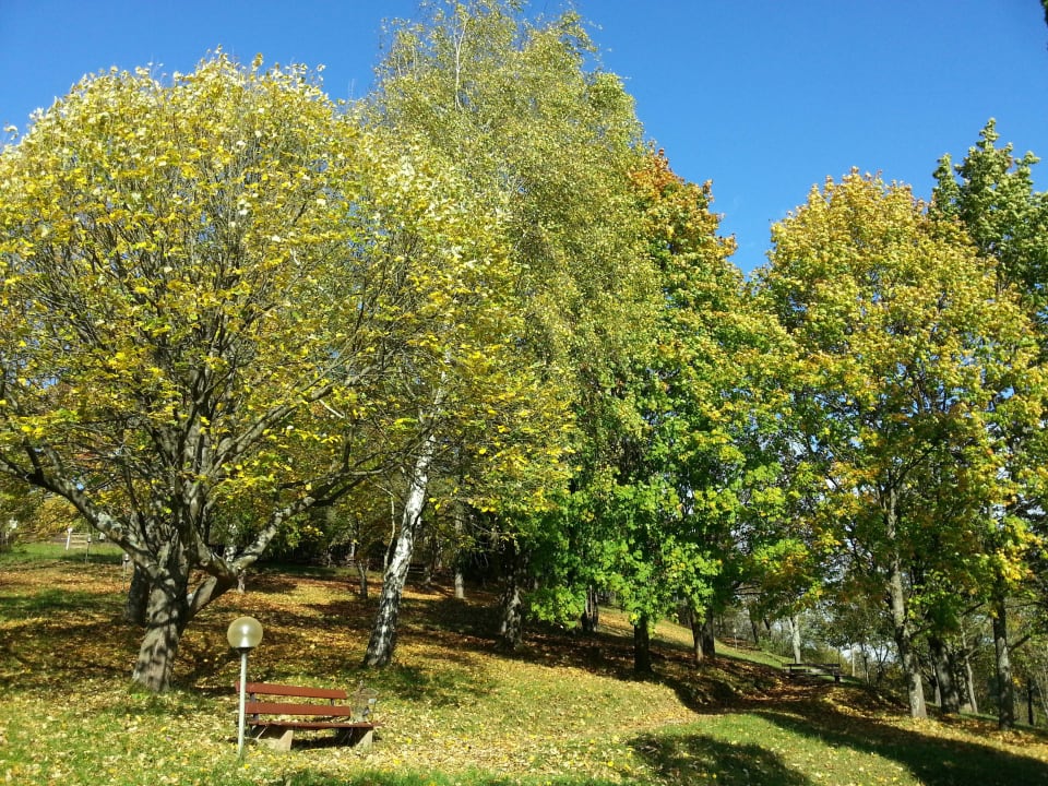 Herbst im Hauspark mit Spazierwegen und Ruhebänken Vitalhotel König am Park