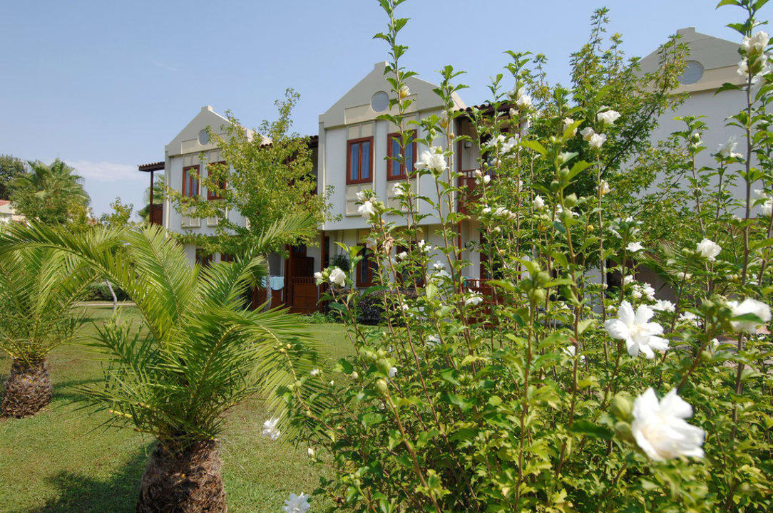 Blütenbracht Club Tuana Fethiye