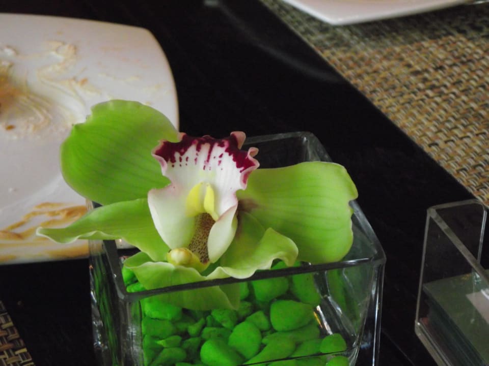 Hochwertiger Blumenschmuck im Restaurant Crowne Plaza Hotel Yas Island