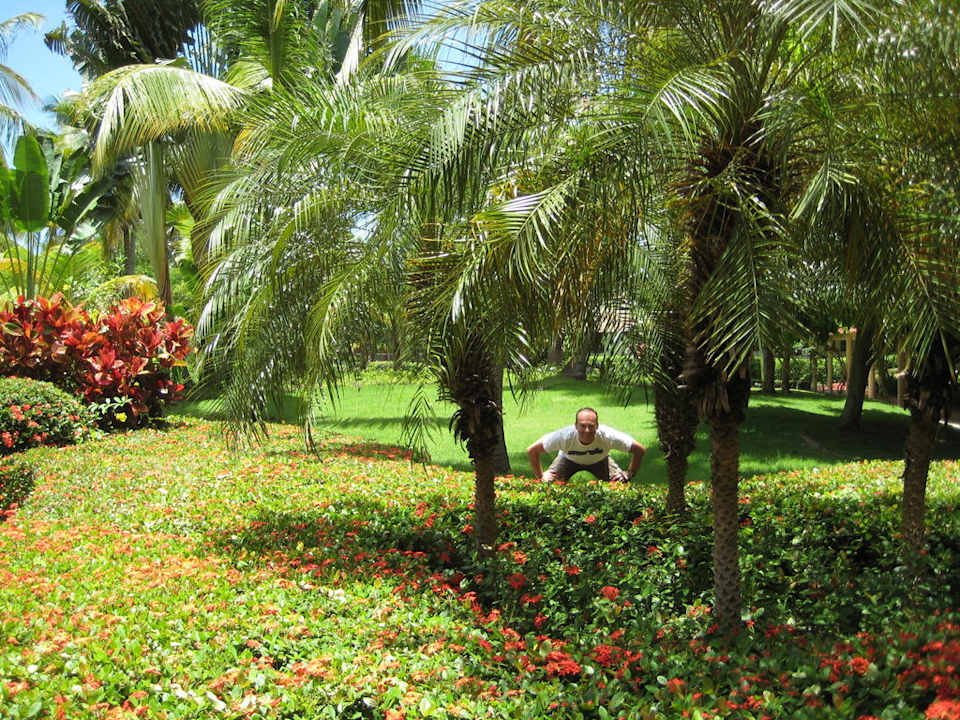 Einfach super schön Grand Palladium Select Bávaro Resort & Spa