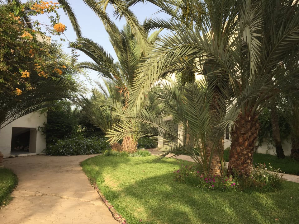 Gartenanlage Hotel Djerba Resort