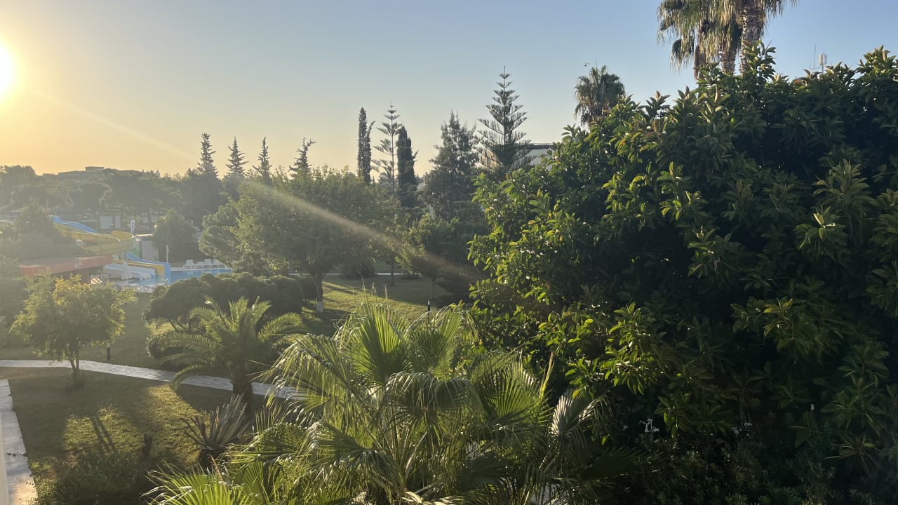 Gartenanlage Hotel Serra Park