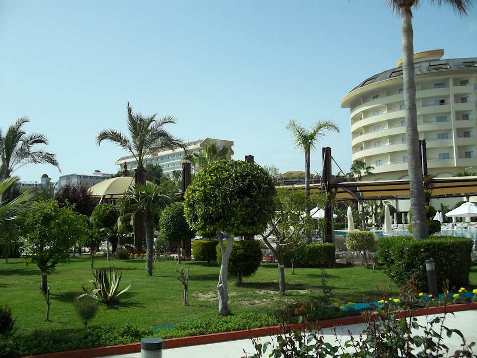 Saphir Resort & Spa Saphir Resort & Spa