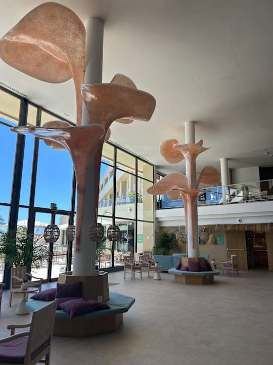 Lobby Iberostar Waves Gaviotas Park