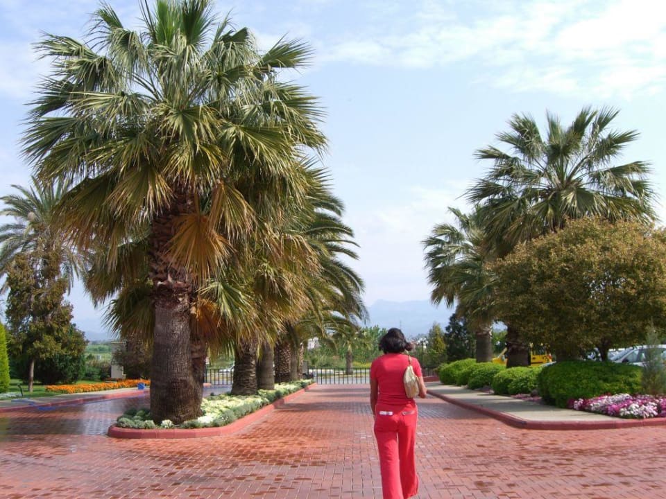 Zum Ausgang des Hotelgeländes Side Star Elegance