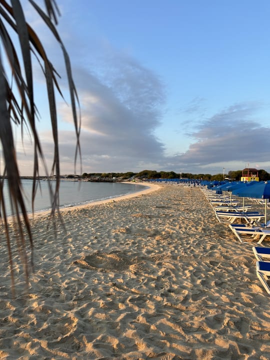 Strand Asterias Beach