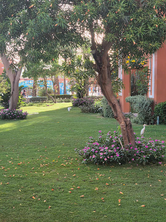 Gartenanlage Sentido Caribbean World Soma Bay