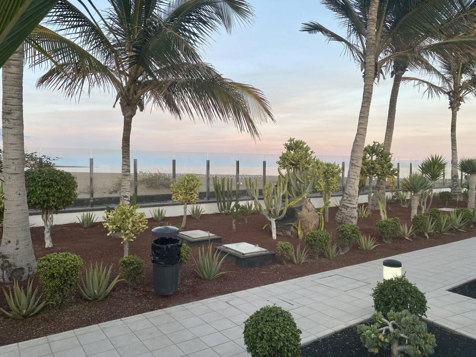 Gartenanlage Hotel Las Costas