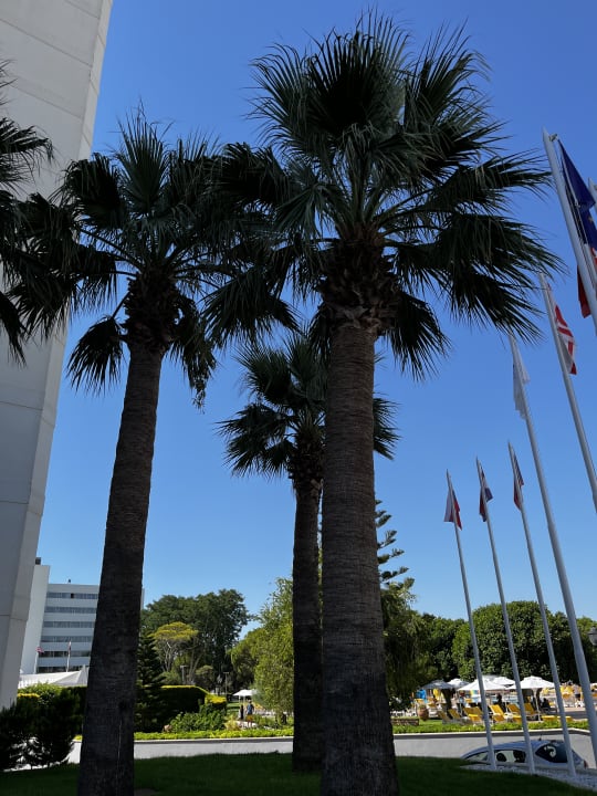 Gartenanlage Salamis Bay Conti Resort Hotel & Casino