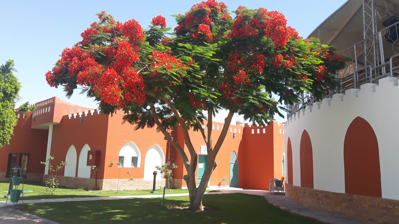 Gartenanlage SUNRISE Garden Beach Resort