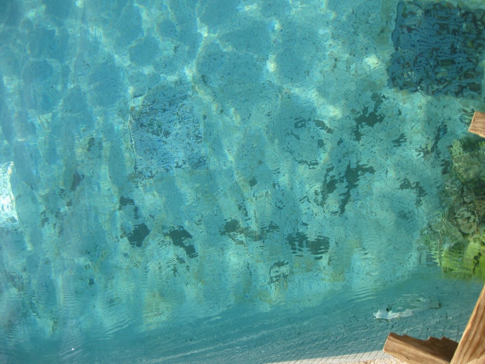 Pool ist dreckig und Fließen fehlen Makadi Palace