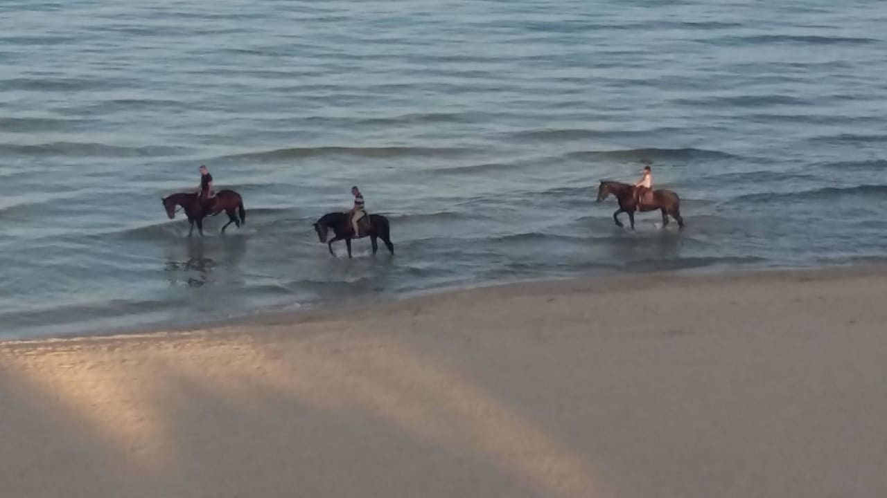 Blick vom Balkon Hotel Borjana