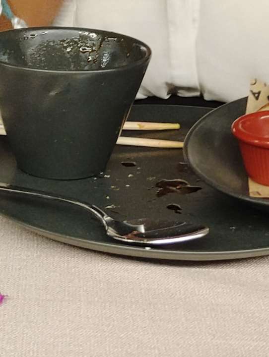 Sonstiges Paloma Oceana