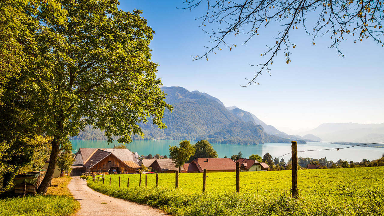 Sonstiges Bio Archehof Eislbauer - St. Gilgen am Wolfgangsee