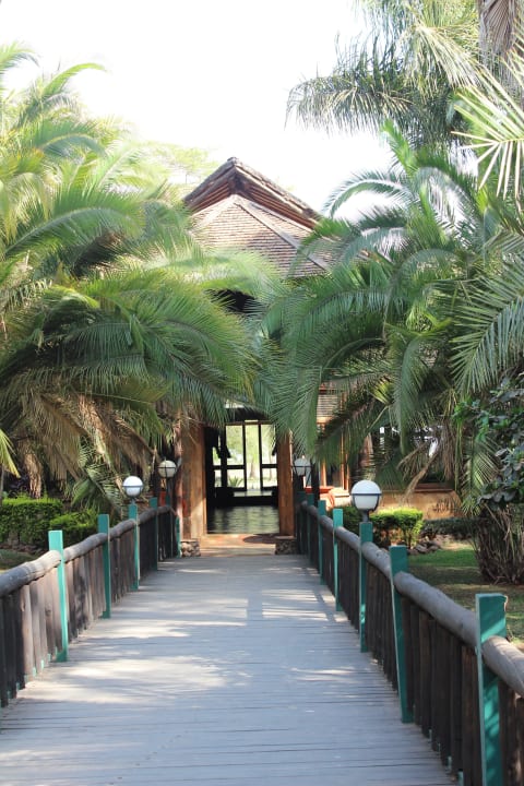 Zum Eingangsbereich Ol Tukai Lodge