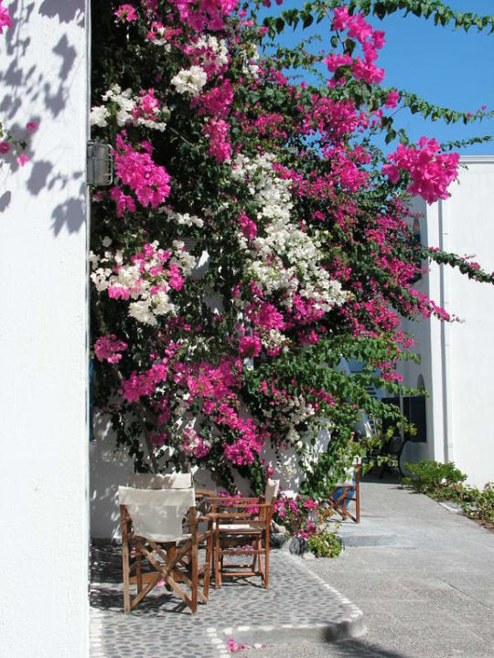 Außenanlage Mediterranean Beach