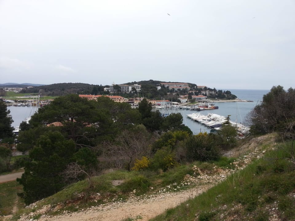 Hotel von Aussichtspunkt in Vrsar Maistra Select Belvedere Resort