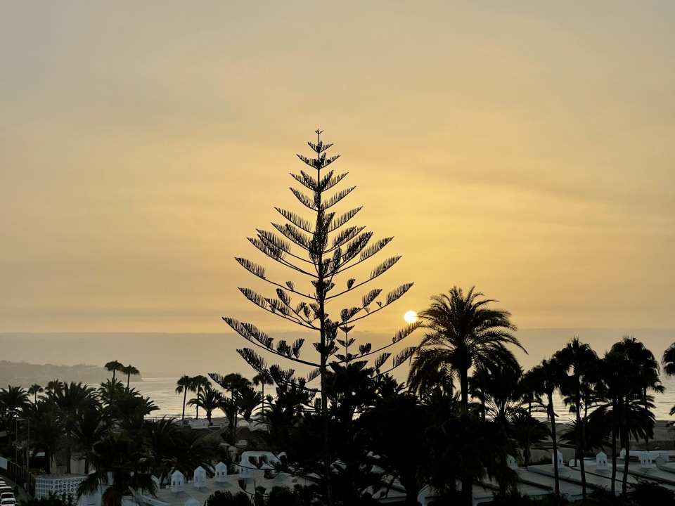 Ausblick Hotel Riu Palace Maspalomas Adults Only