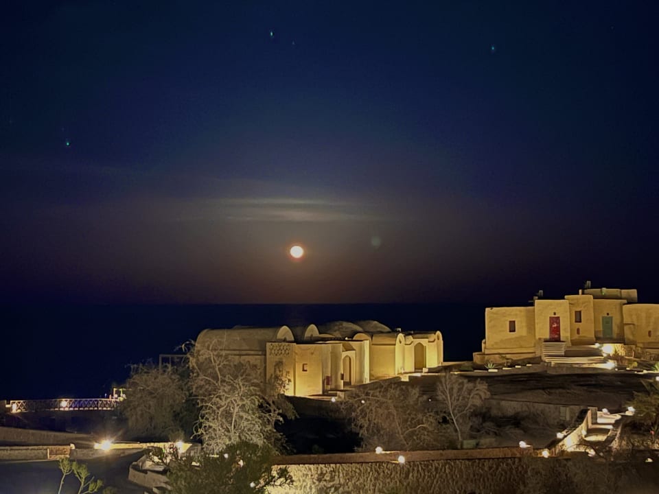 Ausblick The Oasis Dive Resort