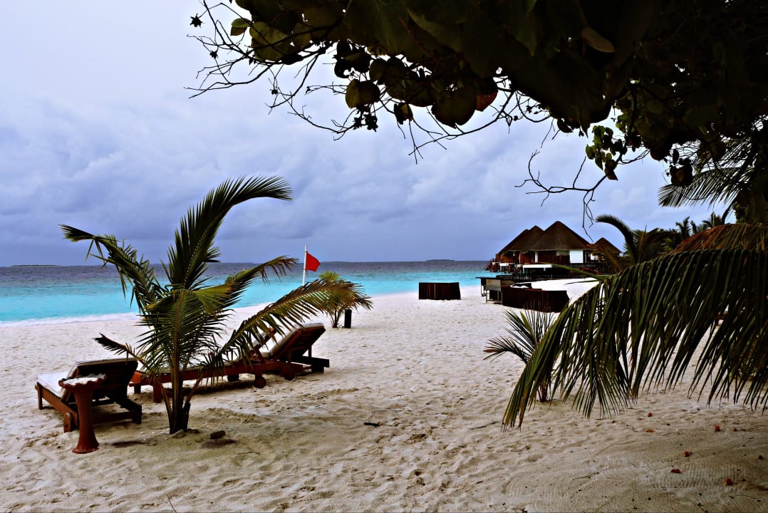 Der Nordstrand am Pool Adaaran Select Meedhupparu Island Resort - Premium All Inclusive