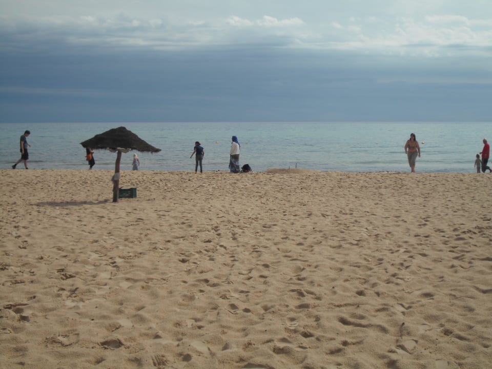 Strand AQI Venus Beach