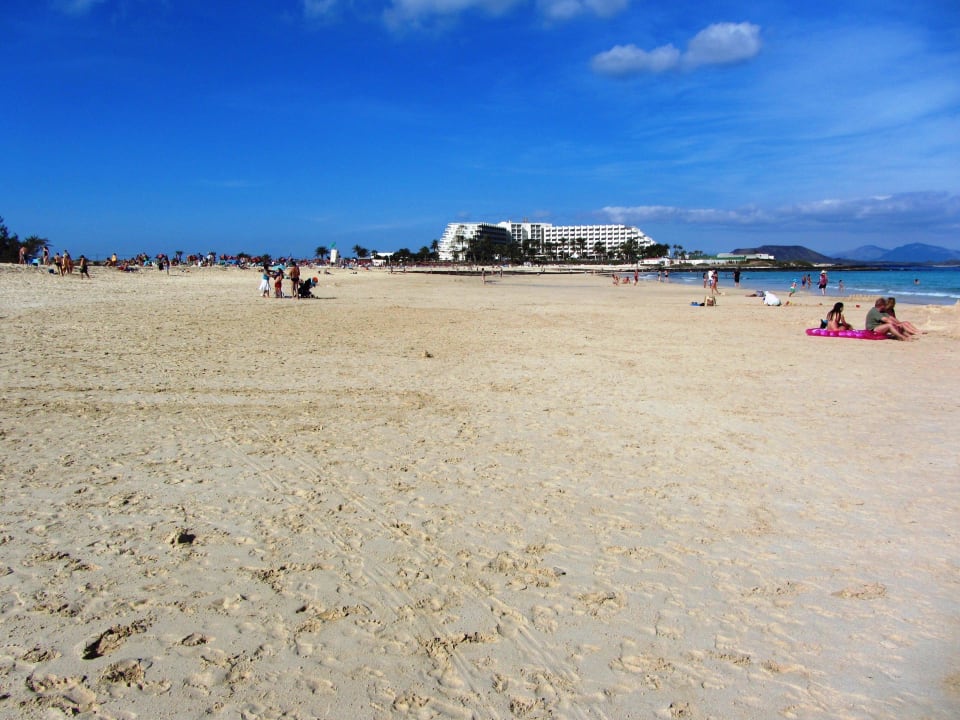 Hotel und Strand von Süden Hotel Riu Oliva Beach - Hotel