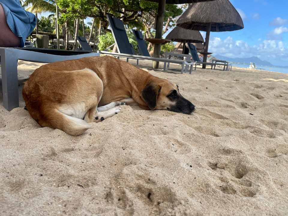 Strand La Pirogue Mauritius