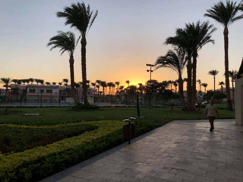 Gartenanlage Beach Albatros Resort