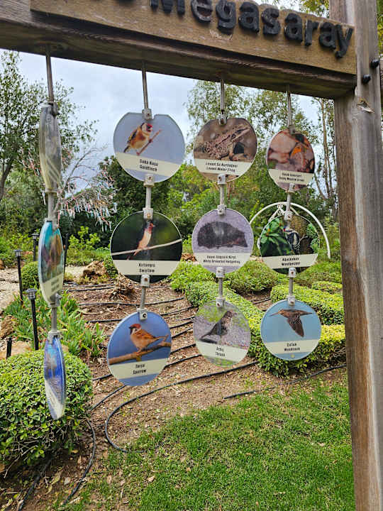 Gartenanlage Megasaray Club Belek