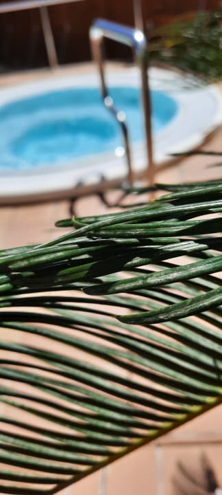 Pool allsun Hotel Lucana