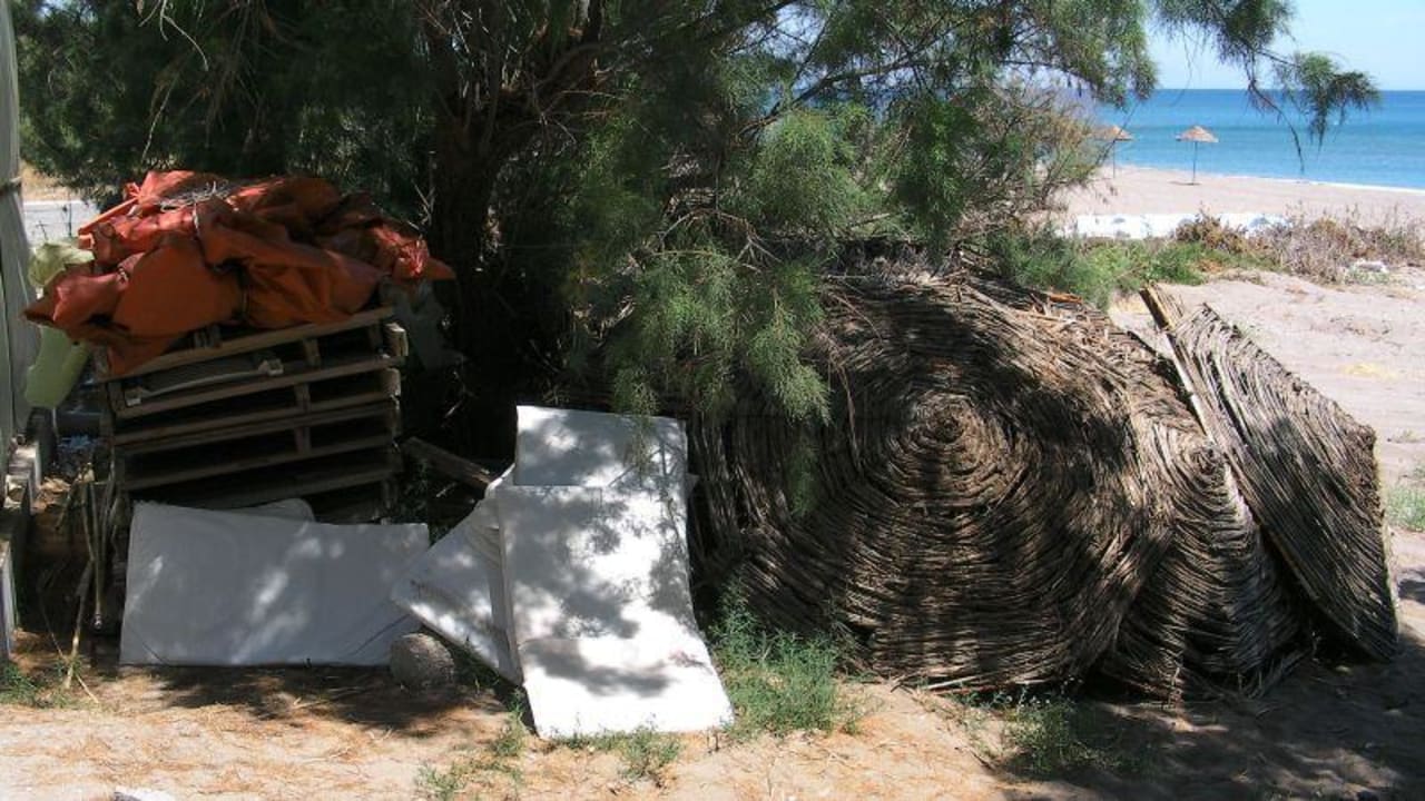 Müll am Strand und neben der Rasenliegefläche Hotel Calypso Beach