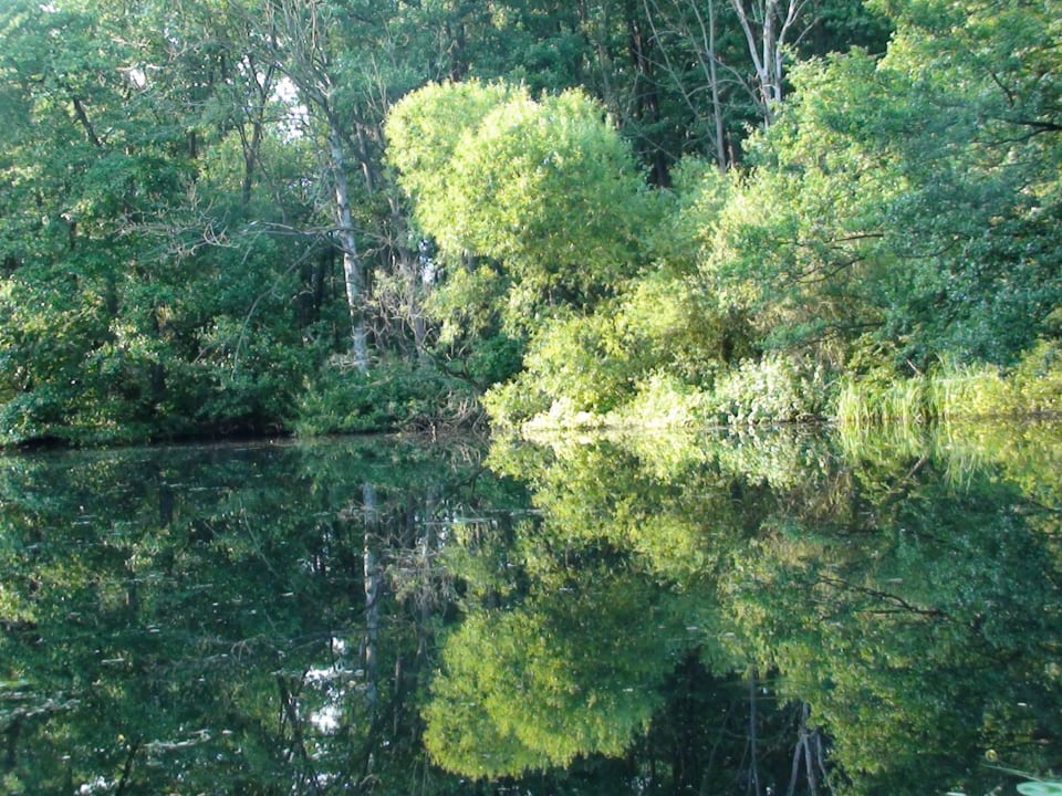 Wakenitz direkt von der Terrasse aus gesehen Hotel Landhaus Absalonshorst