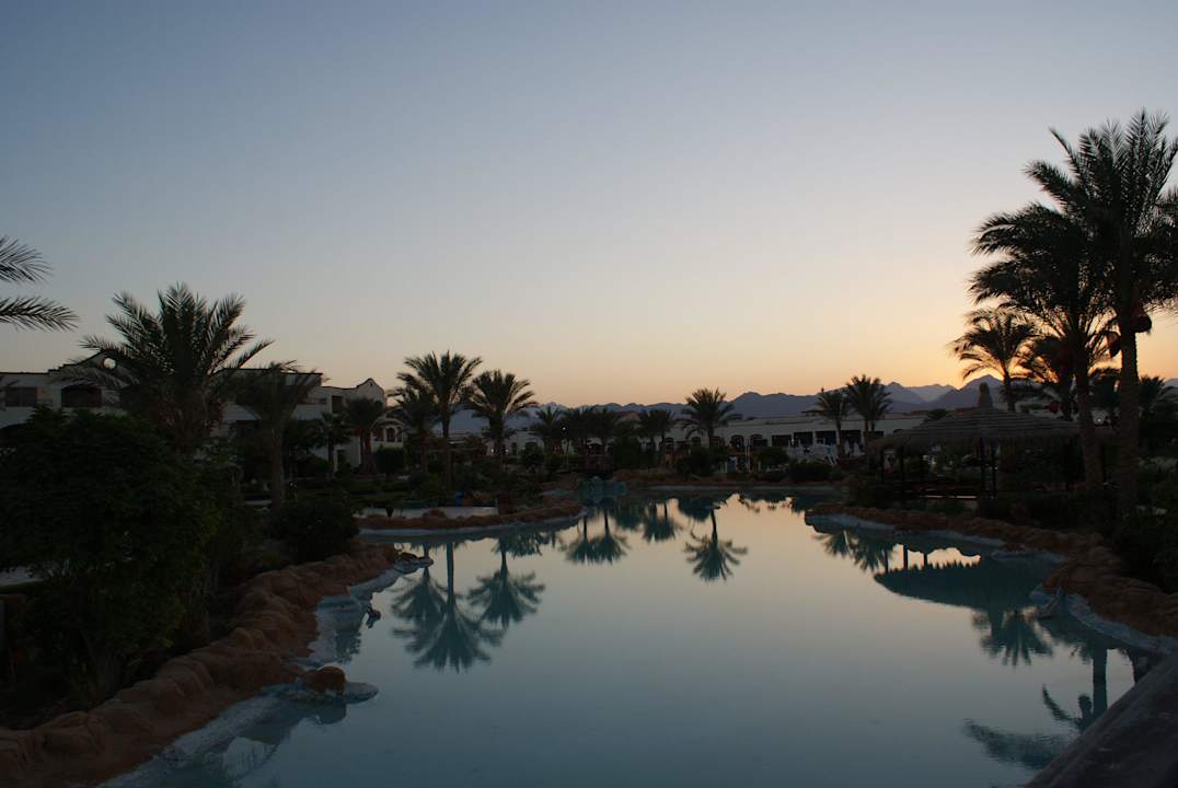 Ogród Regency Plaza Aqua Park & Spa