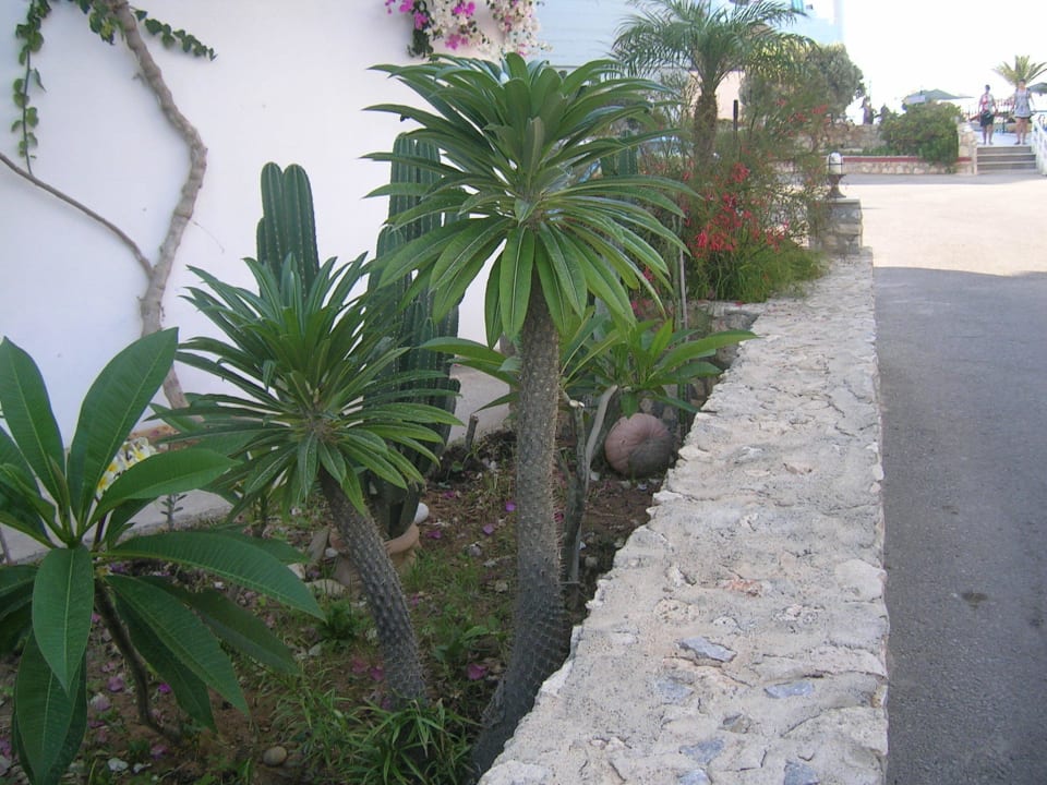 Garden Hotel Kathrin Beach