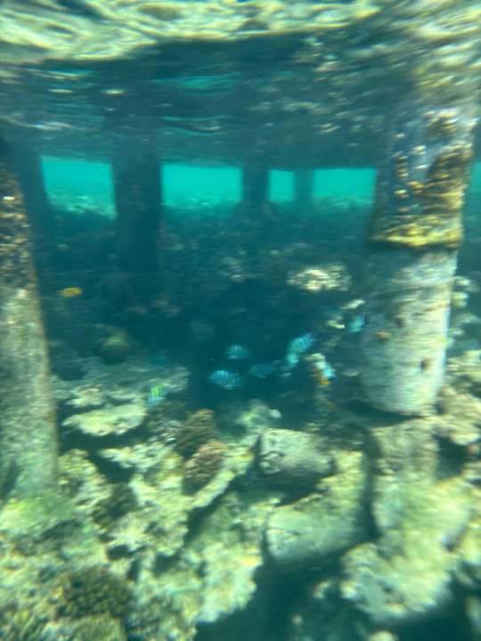 Strand Aldiana Club Naga Bay