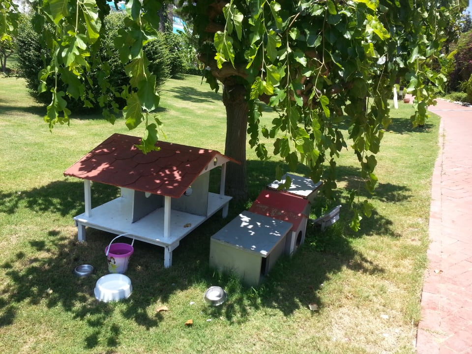 Sonstiges Side Star Elegance