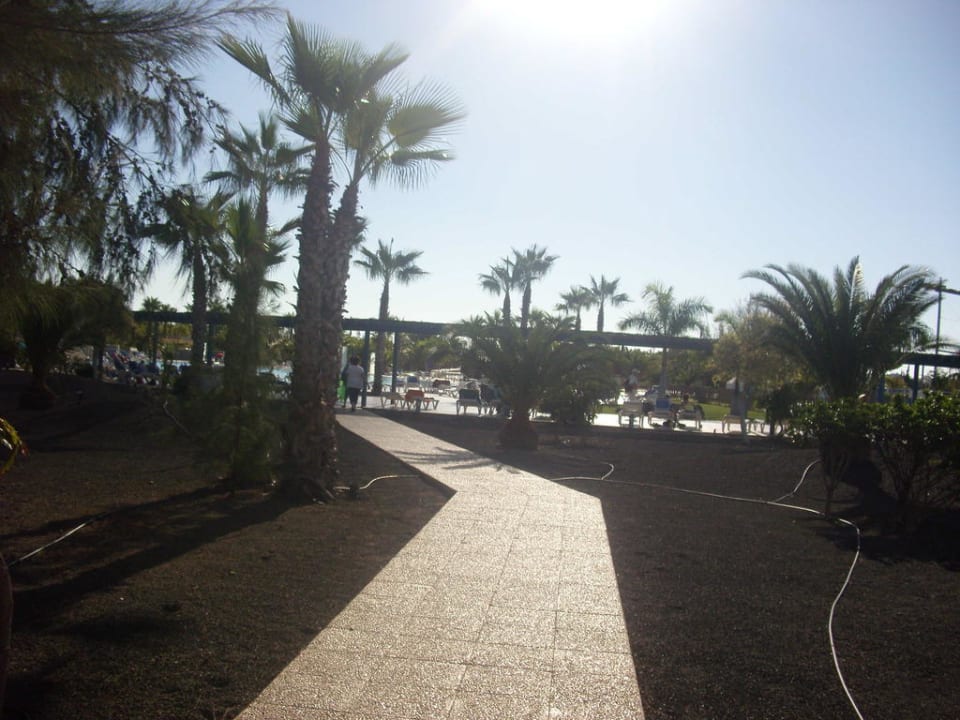 Poolweg Hotel THB Tropical Island